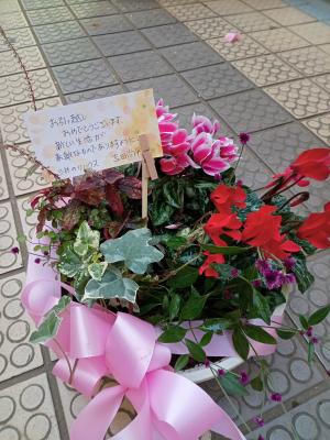 東京都世田谷区の花屋 ちとせフラワー をご紹介 フラワーギフトはプロのお花屋さんにおまかせ フジテレビフラワーネット
