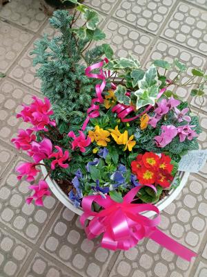 東京都世田谷区の花屋 ちとせフラワー をご紹介 フラワーギフトはプロのお花屋さんにおまかせ フジテレビフラワーネット