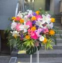 �t�H�g�M�������[�摜