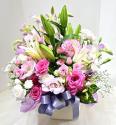 �t�H�g�M�������[�摜
