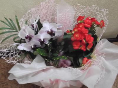 東京都中野区の花屋 有 ちどり生花店 をご紹介 フラワーギフトはプロのお花屋さんにおまかせ フジテレビフラワーネット