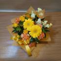 tHgM[摜