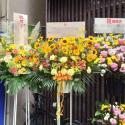 tHgM[摜
