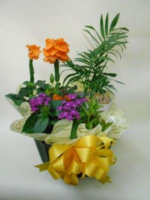 東京都国分寺市の花屋 三愛フラワー をご紹介 フラワーギフトはプロのお花屋さんにおまかせ フジテレビフラワーネット 東京都国分寺市の花屋 三愛フラワー をご紹介 フラワーギフトはプロのお花屋さんにおまかせ フジテレビフラワーネット