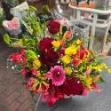�t�H�g�M�������[�摜