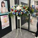 tHgM[摜