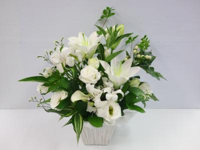 千葉県松戸市の花屋 シェラ フローリスト エイム をご紹介 フラワーギフトはプロのお花屋さんにおまかせ フジテレビフラワーネット