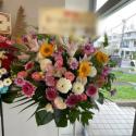 �t�H�g�M�������[�摜