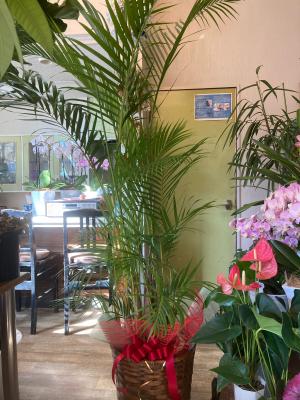 千葉県木更津市の花屋 フラワースポット花壇 をご紹介 フラワーギフトはプロのお花屋さんにおまかせ フジテレビフラワーネット