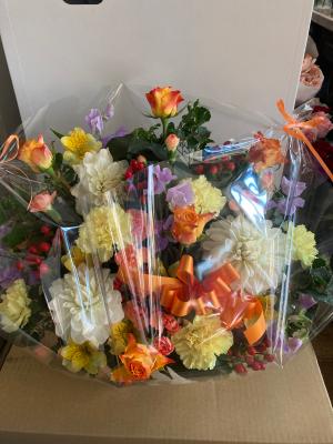 千葉県木更津市の花屋 フラワースポット花壇 をご紹介 フラワーギフトはプロのお花屋さんにおまかせ フジテレビフラワーネット