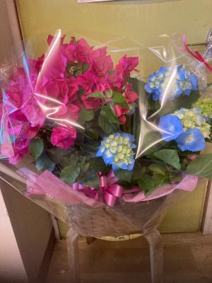 千葉県木更津市の花屋 フラワースポット花壇 をご紹介 フラワーギフトはプロのお花屋さんにおまかせ フジテレビフラワーネット