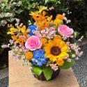 �t�H�g�M�������[�摜