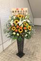 tHgM[摜