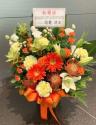�t�H�g�M�������[�摜