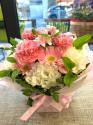 �t�H�g�M�������[�摜