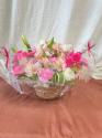 �t�H�g�M�������[�摜