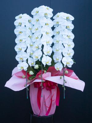 埼玉県坂戸市の花屋 花職人 をご紹介 フラワーギフトはプロのお花屋さんにおまかせ フジテレビフラワーネット