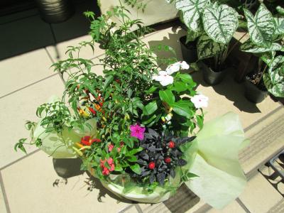 埼玉県新座市の花屋 はなのみせ花井生花 新座店 をご紹介 フラワーギフトはプロのお花屋さんにおまかせ フジテレビフラワーネット