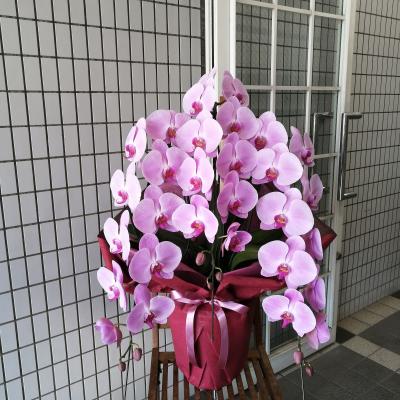 埼玉県富士見市の花屋 Couleur De Fleur ｸﾙｰﾙﾄﾞﾌﾙｰﾙ をご紹介 フラワーギフトはプロのお花屋 さんにおまかせ フジテレビフラワーネット