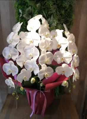 埼玉県富士見市の花屋 Couleur De Fleur ｸﾙｰﾙﾄﾞﾌﾙｰﾙ をご紹介 フラワーギフトはプロのお花屋 さんにおまかせ フジテレビフラワーネット