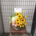 tHgM[摜