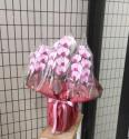 �t�H�g�M�������[�摜