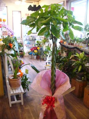 埼玉県熊谷市の花屋 花屋はなずかん をご紹介 フラワーギフトはプロのお花屋さんにおまかせ フジテレビフラワーネット