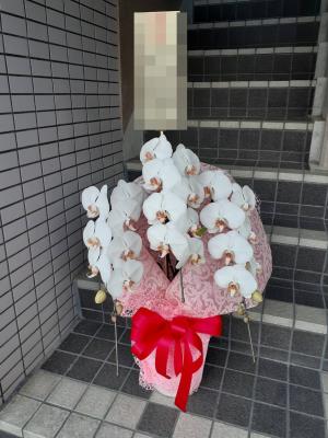 神奈川県横浜市 港北区の花屋 有 飯島生花店 をご紹介 フラワーギフトはプロのお花屋さんにおまかせ フジテレビフラワーネット