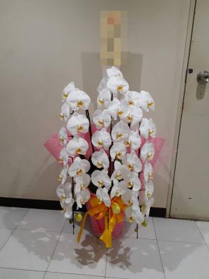 神奈川県横浜市 港北区の花屋 有 飯島生花店 をご紹介 フラワーギフトはプロのお花屋さんにおまかせ フジテレビフラワーネット