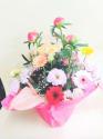 �t�H�g�M�������[�摜