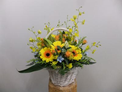 神奈川県横浜市 金沢区の花屋 フラワーショップ好花 をご紹介 フラワーギフトはプロのお花屋さんにおまかせ フジテレビフラワーネット 神奈川県横浜市 金沢区の花屋 フラワーショップ好花 をご紹介 フラワーギフトはプロのお花屋さんにおまかせ フジテレビフラワーネット