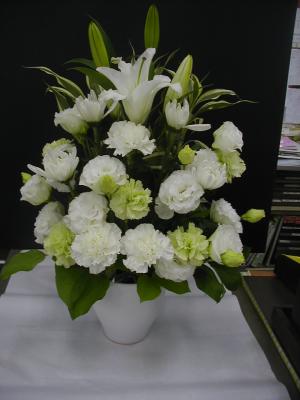 神奈川県横須賀市の花屋 フラワーショップ花松 をご紹介 フラワーギフトはプロのお花屋さんにおまかせ フジテレビフラワーネット 神奈川県横須賀市の花屋 フラワーショップ花松 をご紹介 フラワーギフトはプロのお花屋さんにおまかせ フジテレビフラワーネット