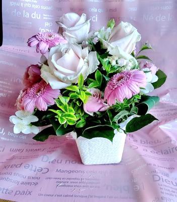 神奈川県厚木市の花屋 株 ごむの木 をご紹介 フラワーギフトはプロのお花屋さんにおまかせ フジテレビフラワーネット 神奈川県厚木市の花屋 株 ごむの木 をご紹介 フラワーギフトはプロのお花屋さんにおまかせ フジテレビフラワーネット