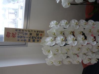 神奈川県海老名市の花屋 有 大西生花店 をご紹介 フラワーギフトはプロのお花屋さんにおまかせ フジテレビフラワーネット 神奈川県海老名市の花屋 有 大西生花店 をご紹介 フラワーギフトはプロのお花屋さんにおまかせ フジテレビフラワーネット