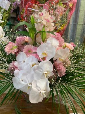 神奈川県横浜市 瀬谷区の花屋 有 原園芸 をご紹介 フラワーギフトはプロのお花屋さんにおまかせ フジテレビフラワーネット 神奈川県横浜市 瀬谷区の花屋 有 原園芸 をご紹介 フラワーギフトはプロのお花屋さんにおまかせ フジテレビフラワーネット
