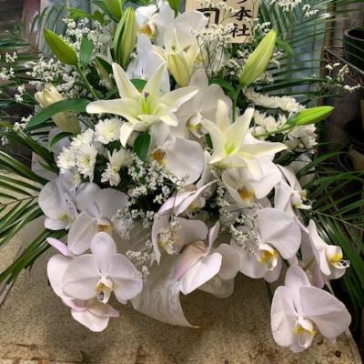 神奈川県横浜市 瀬谷区の花屋 有 原園芸 をご紹介 フラワーギフトはプロのお花屋さんにおまかせ フジテレビフラワーネット 神奈川県横浜市 瀬谷区の花屋 有 原園芸 をご紹介 フラワーギフトはプロのお花屋さんにおまかせ フジテレビフラワーネット