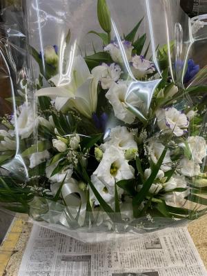 神奈川県横浜市 瀬谷区の花屋 有 原園芸 をご紹介 フラワーギフトはプロのお花屋さんにおまかせ フジテレビフラワーネット 神奈川県横浜市 瀬谷区の花屋 有 原園芸 をご紹介 フラワーギフトはプロのお花屋さんにおまかせ フジテレビフラワーネット