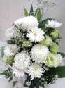 �t�H�g�M�������[�摜