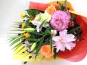 �t�H�g�M�������[�摜