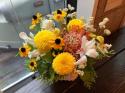 �t�H�g�M�������[�摜