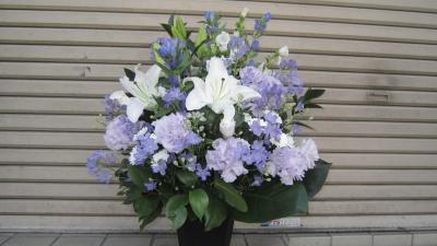 神奈川県足柄下郡 湯河原町の花屋 有 花一生花店 をご紹介 フラワーギフトはプロのお花屋さんにおまかせ フジテレビフラワーネット 神奈川県足柄下郡 湯河原町の花屋 有 花一生花店 をご紹介 フラワーギフトはプロのお花屋さんにおまかせ フジテレビフラワーネット