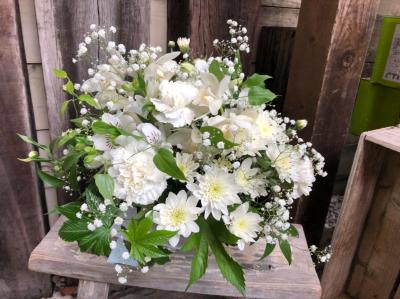 静岡県駿東郡 長泉町の花屋 フラワー ギフト ペレ をご紹介 フラワーギフトはプロのお花屋さんにおまかせ フジテレビフラワーネット 静岡県駿東郡 長泉町の花屋 フラワー ギフト ペレ をご紹介 フラワーギフトはプロのお花屋さんにおまかせ フジテレビフラワーネット