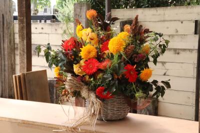 静岡県駿東郡 長泉町の花屋 フラワー ギフト ペレ をご紹介 フラワーギフトはプロのお花屋さんにおまかせ フジテレビフラワーネット 静岡県駿東郡 長泉町の花屋 フラワー ギフト ペレ をご紹介 フラワーギフトはプロのお花屋さんにおまかせ フジテレビフラワーネット