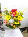 �t�H�g�M�������[�摜