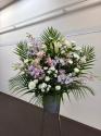 �t�H�g�M�������[�摜