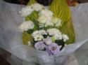 �t�H�g�M�������[�摜