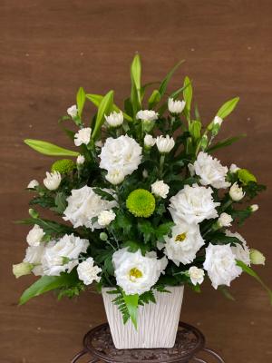 愛知県蒲郡市の花屋 有 花木土 をご紹介 フラワーギフトはプロのお花屋さんにおまかせ フジテレビフラワーネット 愛知県蒲郡市の花屋 有 花木土 をご紹介 フラワーギフトはプロのお花屋さんにおまかせ フジテレビフラワーネット