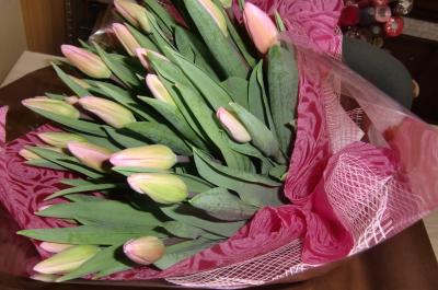 愛知県名古屋市 中村区の花屋 花のナガセ をご紹介 フラワーギフトはプロのお花屋さんにおまかせ フジテレビフラワーネット 愛知県名古屋市 中村区の花屋 花のナガセ をご紹介 フラワーギフトはプロのお花屋さんにおまかせ フジテレビフラワーネット