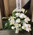 �t�H�g�M�������[�摜