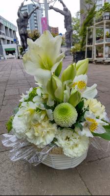 愛知県名古屋市 北区の花屋 ハナワークス みなみ をご紹介 フラワーギフトはプロのお花屋さんにおまかせ フジテレビフラワーネット 愛知県名古屋市 北区の花屋 ハナワークス みなみ をご紹介 フラワーギフトはプロのお花屋さんにおまかせ フジテレビフラワーネット